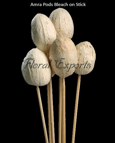 Amra Pods Bleach on Stick