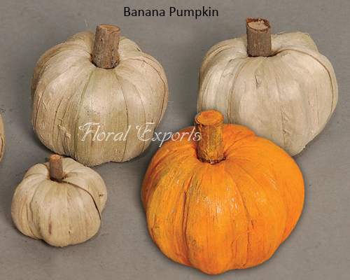 Banana Pumpkin