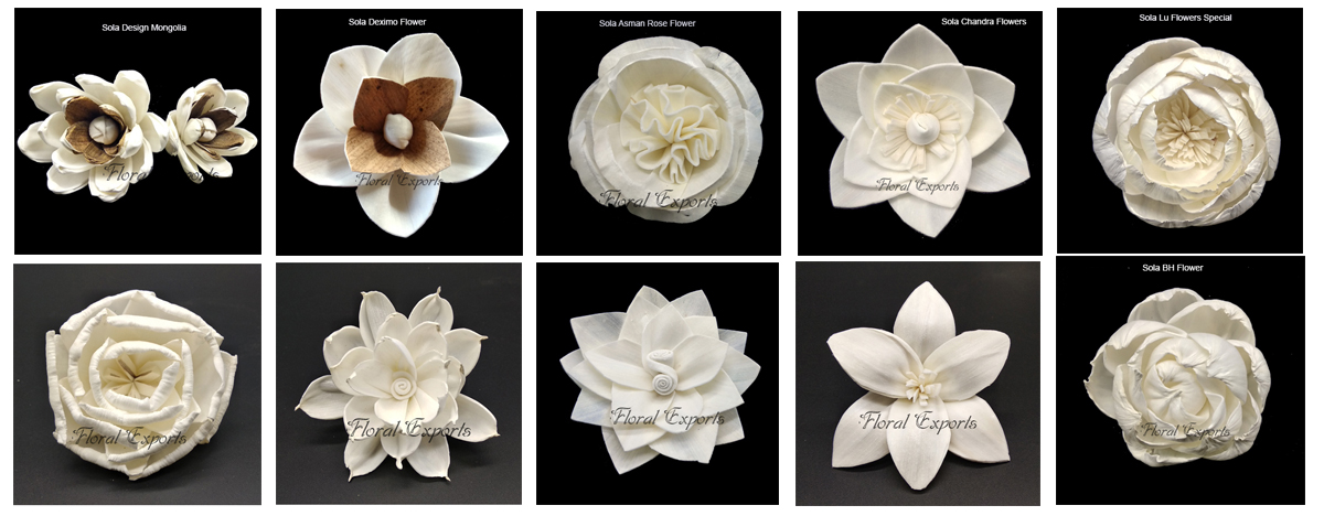 Banner Sola Flowers