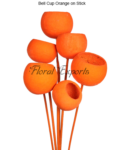 Bell Cup Orange on Stick