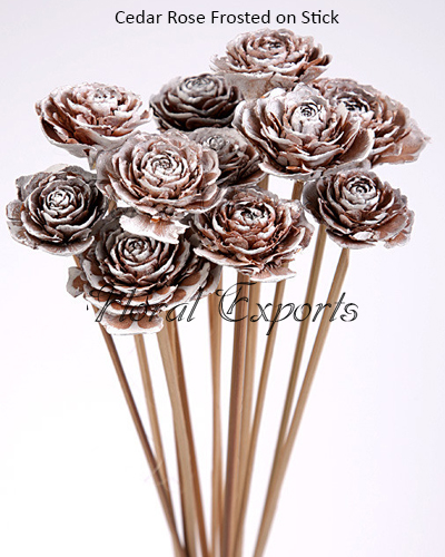 Cedar Rose Frosted on Stick
