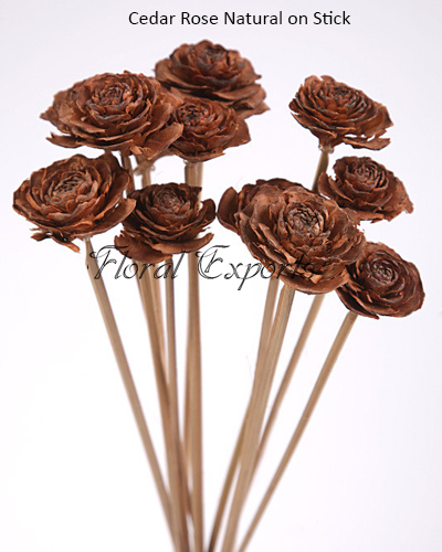 Cedar Rose Natural on Stick