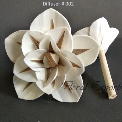 Diffuser # 002