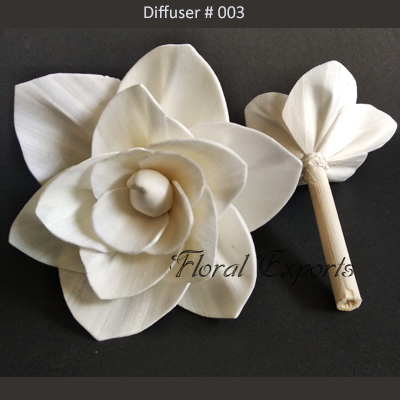 Diffuser # 003