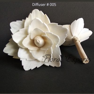 Diffuser # 005