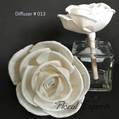 Diffuser # 013