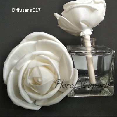Diffuser #017