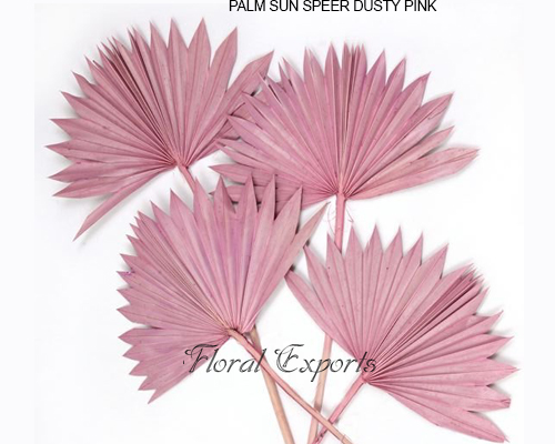 PALM SUN SPEER DUSTY PINK