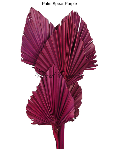 Palm Spear Purple