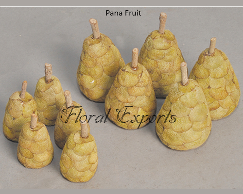 Pana Fruit