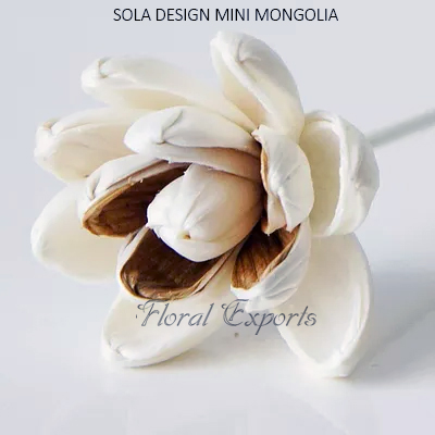 SOLA DESIGN MINI MONGOLIA