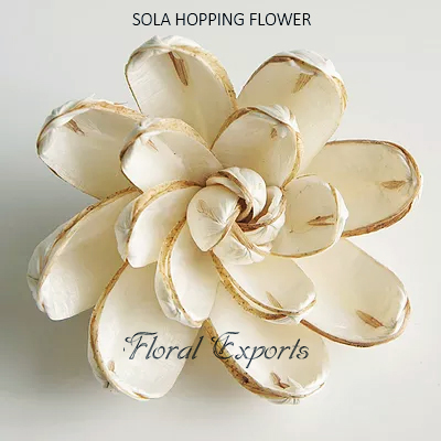 SOLA HOPPING FLOWER