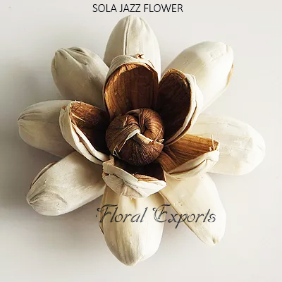 SOLA JAZZ FLOWER