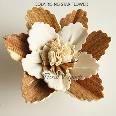 SOLA RISING STAR FLOWER