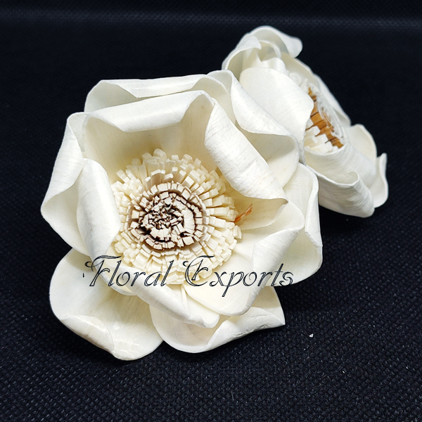 SOLA SUNFLOWER PEONY