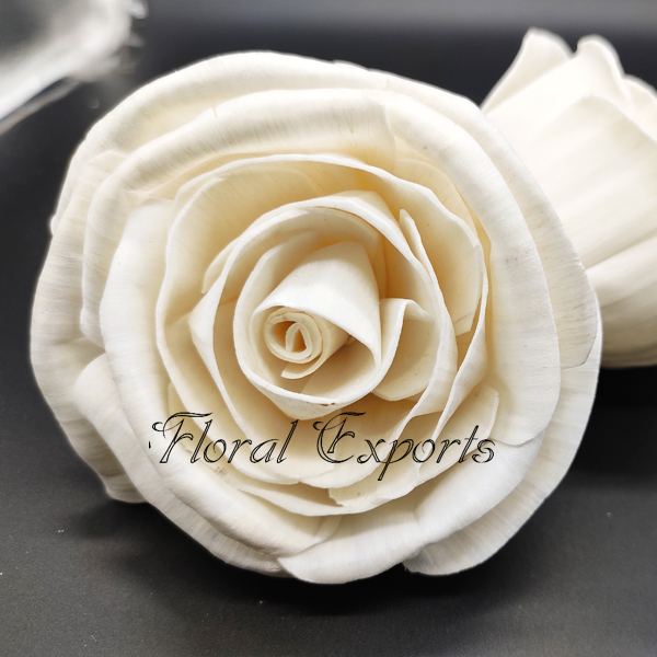 SOLA TOP ROSE