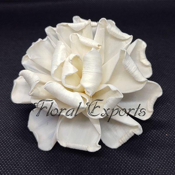 SOLA VARLA ROSE
