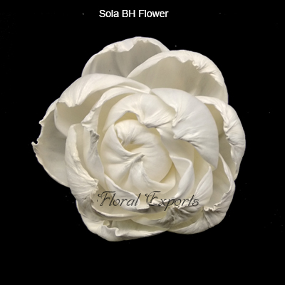 Sola BH Flower