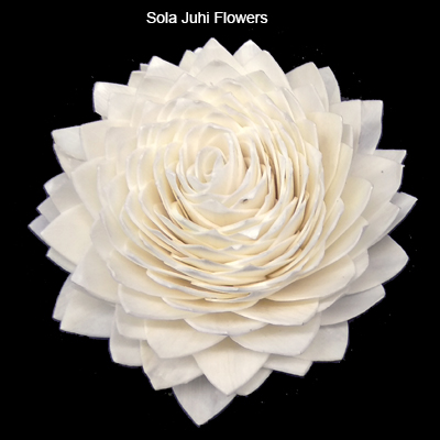 Sola Juhi Flowers