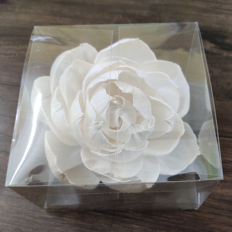 Sola Peony Front